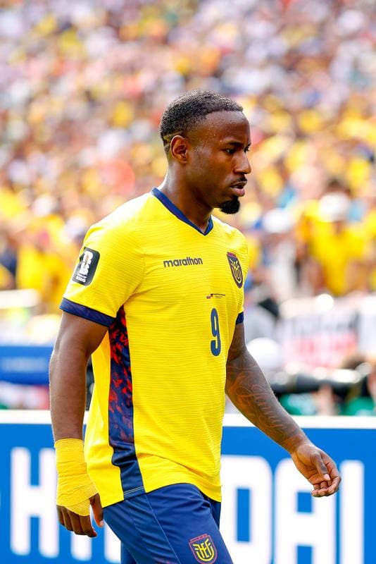 Football. FIFA World Cup 2026. Ecuador - Germany. 25.06.2026