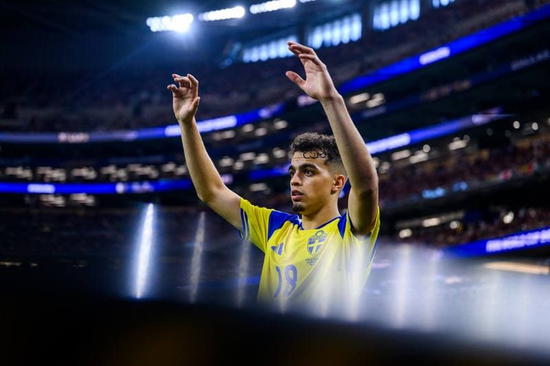 Football. FIFA World Cup 2026. Japan - Sweden. 25.06.2026