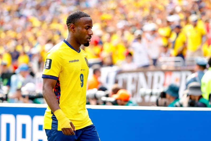 Football. FIFA World Cup 2026. Ecuador - Germany. 25.06.2026