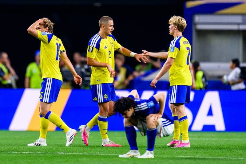Football. FIFA World Cup 2026. Japan - Sweden. 25.06.2026