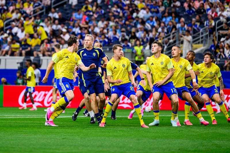 Football. FIFA World Cup 2026. Japan - Sweden. 25.06.2026