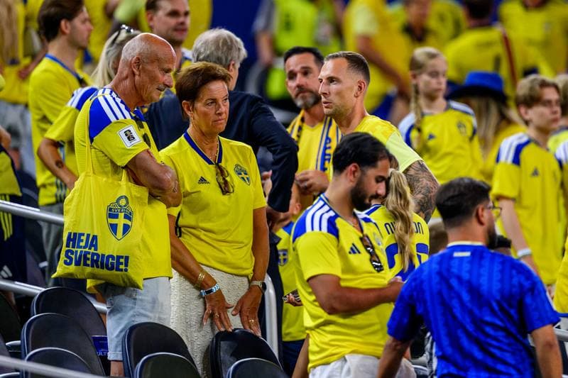 Football. FIFA World Cup 2026. Japan - Sweden. 25.06.2026