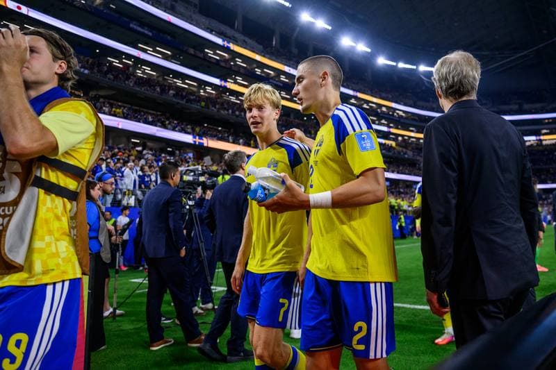 Football. FIFA World Cup 2026. Japan - Sweden. 25.06.2026