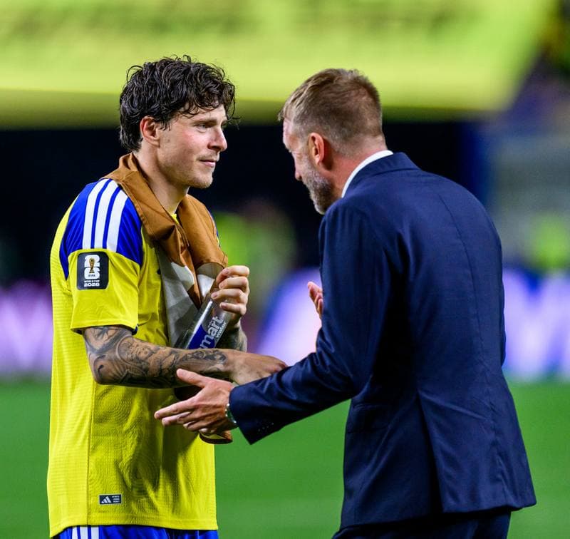 Football. FIFA World Cup 2026. Japan - Sweden. 25.06.2026