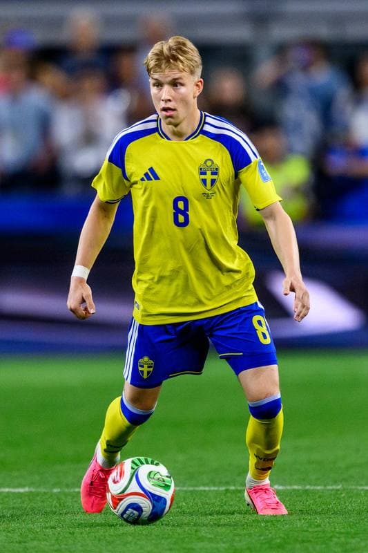 Football. FIFA World Cup 2026. Japan - Sweden. 25.06.2026