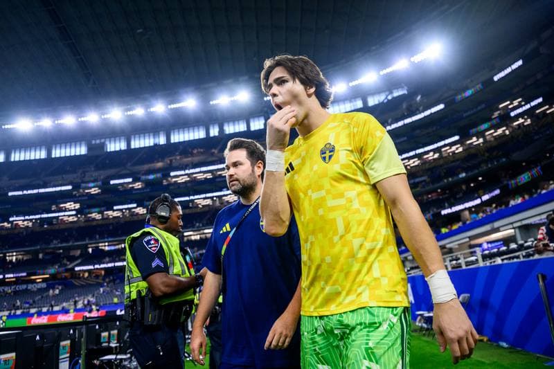 Football. FIFA World Cup 2026. Japan - Sweden. 25.06.2026