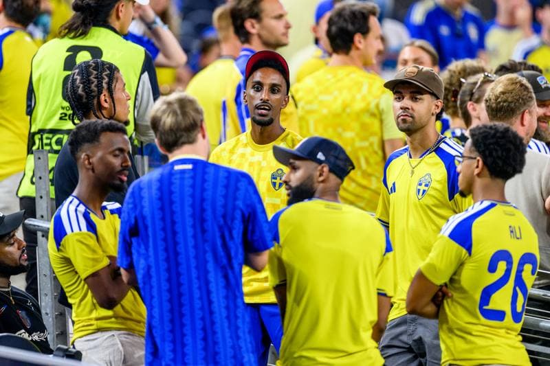 Football. FIFA World Cup 2026. Japan - Sweden. 25.06.2026