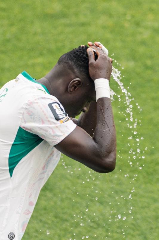 Football. FIFA World Cup 2026. Senegal - Iraq. 26.06.2026