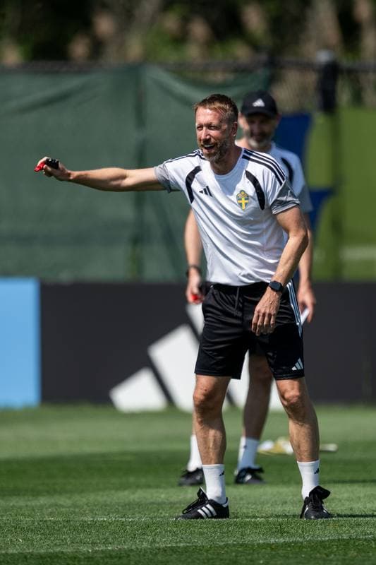 Football. FIFA World Cup 2026. Sweden. Training. 29.06.2026