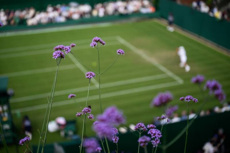 Tennis. Wimbledon 2026. 29.06.2026