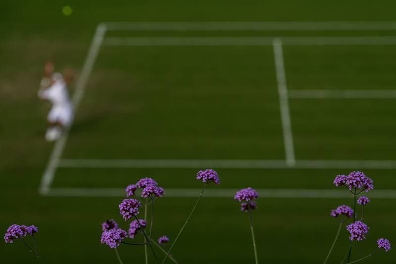 Tennis. Wimbledon 2026. 29.06.2026