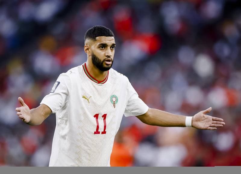 Football. FIFA World Cup 2026. Netherlands - Morocco. 29.06.2026