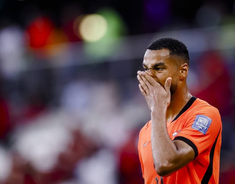 Football. FIFA World Cup 2026. Netherlands - Morocco. 29.06.2026