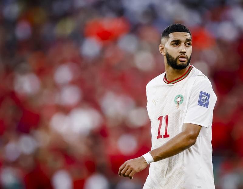 Football. FIFA World Cup 2026. Netherlands - Morocco. 29.06.2026