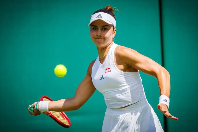 Tennis. Wimbledon 2026. 29.06.2026